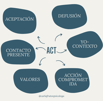 Los 6 componentes de la terapia de aceptación y compromiso, ACT