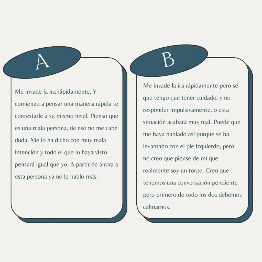 Infografía de opciones